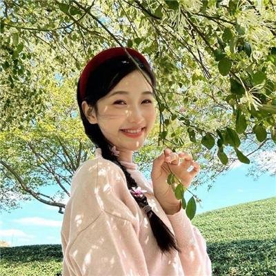 迷失真相