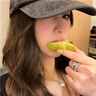 哈莱姆的郁金香